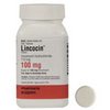 your-sex-pharmacy-Lincocin your-sex-pharmacy-Lincocin